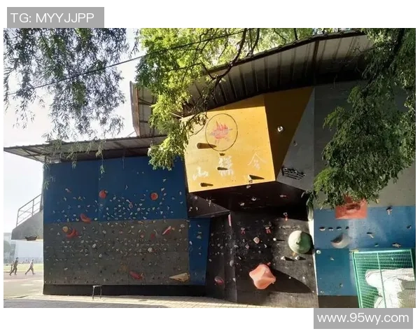 杭州攀岩队的蜕变之旅:从传统训练到现代竞技的全新探索